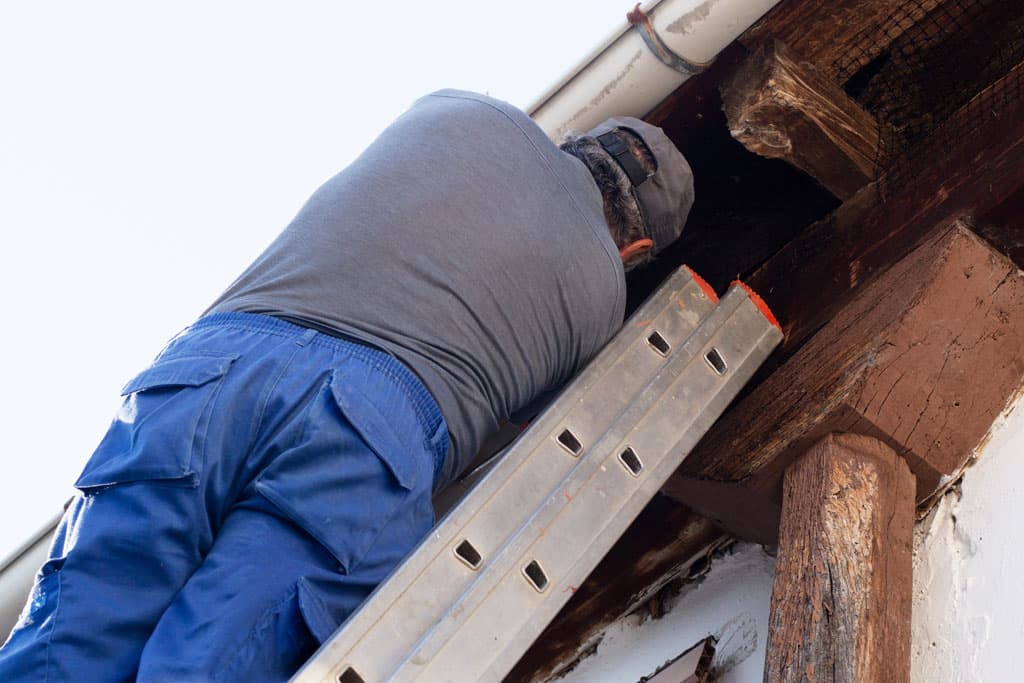 Reparación de canalones en Melide